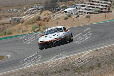 media/May-03-2025-Lucky Dog Racing (Sat) [[206de64b9d]]/Turn 4 B (1150am-130pm)/